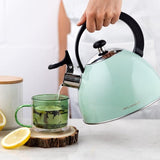 Brilloi Kettle (2 Litres) Stainless Steel Tea Kettle Whistling Kettle with Bakelite Handle I Scratch-Resistant I Kettle for Induction Hobs, Gas Hobs and Electric Hobs I Colour: Mint