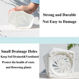 6 stuks kunststof bloempotten, 13 cm, kleurrijke bloempot, zaailingplant met wortelcontrole, tuinpotten in Scandinavische stijl, met schotel, voor bloemen, kruiden, vetplanten, cactussen (6 kleuren)