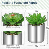 Set van 2 kunstplanten, vetplant, kunstmatige kamerplant, decoratieve plastic planten in keramische pot, decoratie voor badkamer, woonkamer, tafel, huis, balkon, kantoor