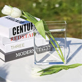 Vaas transparant 15 x 3,8 x 19,8 cm