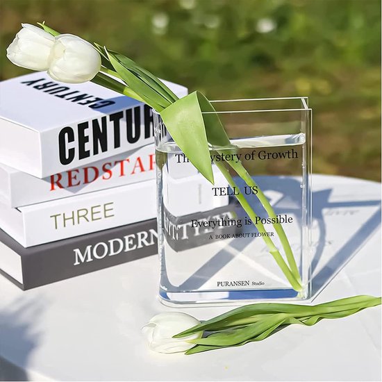 Vaas transparant 15 x 3,8 x 19,8 cm