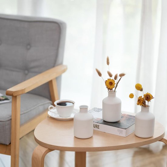 Mini Witte Bloemenvaas - Kleine Bud Vaasjes voor Gedroogde Kunstbloemen 3 stuks Leuke Scandinavische Vaasjes voor Woonkamer Minimalistisch Klein Vaasje voor Bruiloft Kerstmis Verjaardag Tafelstuk Decoratie