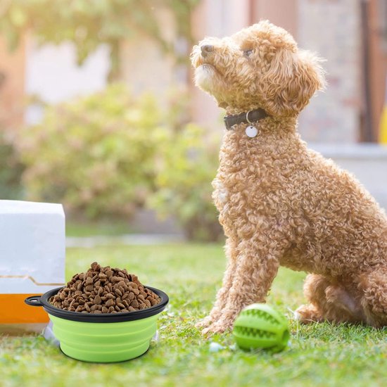 Set van 2 opvouwbare hondenbakken, reisbak voor huisdieren met deksel en haak, draagbare siliconen voerbak, hondenbak voor reizen, wandelingen, kennel, kamperen (450 ml, blauw en groen)