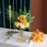 Materiaal: de vaas is gemaakt van een goudkleurig metalen frame en een hangende glazen buis