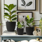 Zelfwater gevende plantenpot met waterindicator, set van 4, met wateropslag, voor gebruik binnen en buiten, 15 cm, zwart