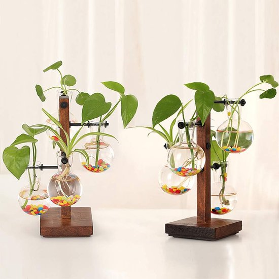 4 glazen plantenterrarium met houten standaard, transparante glazen hydrocultuurvazen, moderne plantenvoortplantingsstation Desktop plantenbak bolvaas voor hydrocultuurplanten, tuindecoratie