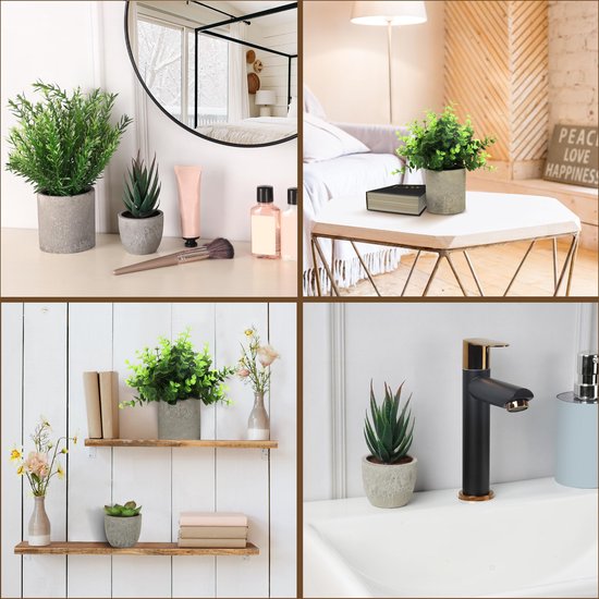 Belle Vous 4 Pak Artificiële Binnen Potplanten - Kleine Nep Plastic Eucalyptus, Slangen Tong Gras & Vetplanten - Faux Groen voor Kantoor, Bureau/Tafel, Slaapkamer, Keuken, Huisdecoratie