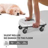 Buiktrainer, roller, buikroller, push-upgrepen, vanaf roller met stabiele vier wielen, buikspiertrainer vanaf wiel, set inclusief gevoerde, afdominale wielroller voor buikspiertraining