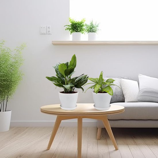 16 stuks 10 cm plantenpotten plantenpotten kweek bloempot kunststof klein met pallets kweekpotten kunststof potten planten rond voor zaden sappige bloemen voor thuis kantoor decoratie wit