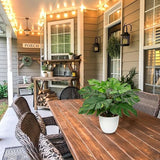 37 cm kunstmatige Monstera-plant - decoratieve kunstplanten binnen - esthetische kunstmatige tropische planten voor slaapkamer, kantoor, woondecoratie