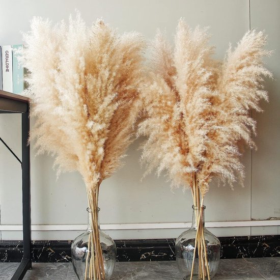 10 stuks Pampasgras Groot, Pampasgras XXL, Pampasgras Decoratie Groot voor Boho Decoratie Woonkamer Tafel Slaapkamer Bruiloft Badkamer (100 cm)
