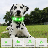 Halsband Oplichtende halsband Waterdichte oplichtende LED-halsband USB Oplaadbaar Knipperende reflecterende halsbanden Verstelbaar Super helder voor grote middelgrote kleine honden, Groen L