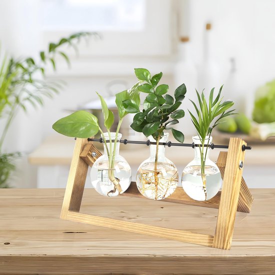 Hydrocultuur glazen vaas, hangvaas, bloemenvaas, vintage reageerbuisvazen, tafeldecoratie, luchtplanten, terrarium, decoratieve vaas met standaard, houten propagatiestation, glazen plantenpot voor