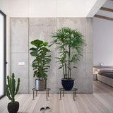 Plantenstandaard, 3 stuks, retro stijl, wijnstokken, bloempot, standaard, smeedijzer, rond, decoratief, bloemenkruk, potframe voor binnen en buiten, zwart