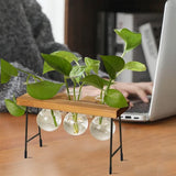 glazen vaas hangvaas bloemenvaas tafelvaas luchtplanten terrarium bureau decoratieve vaas met houten houder glazen plant voor kantoor huis tuin decoratie (3 vazen)