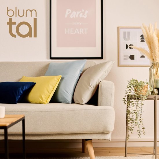 Set van 2 zachte fluwelen kussenhoezen, 40 x 60 cm, elegante fluwelen kussenslopen, taupe