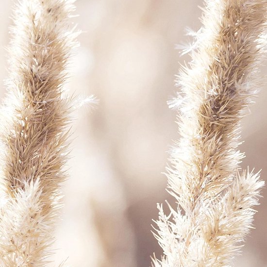 Klaar om op te hangen - wandafbeeldingen set in boho stijl - beige afbeelding XXL voor de woonkamer N008735a, 30x40 cm - 3 afbeeldingen.