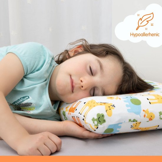 Kussen wit 58 x 32 cm