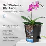 Bloempot, kunststof, met irrigatiesysteem, set van 6, zelfbewatering, met onderzetter, ronde plantenpot voor binnen en balkon, tuin, planten, vetplanten, cactussen, zwart