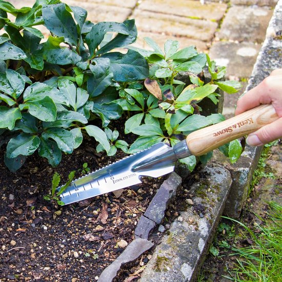 Multifunctionele onkruidjager – onkruidjager met krabtanden en snijmes van roestvrij staal, moskrabber met houten steel, lengte: 33,5 cm