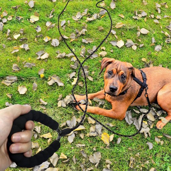 10 m voor honden, reflecterende hondenriem met gevoerde handgreep, trainingslijn voor kleine, middelgrote en grote honden, zwart