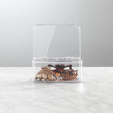 Make-up organizer Doorzichtig