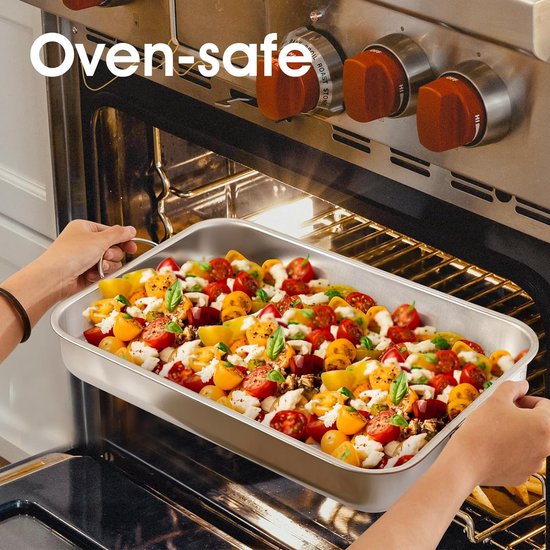Ovenschaal 30 cm, bakvorm roestvrij staal, rechthoekig, ovenvorm met handgrepen, rechthoekige bakplaat, gezond en gemakkelijk te reinigen