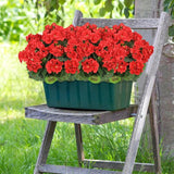 2 bundels kunstbloemen, bloemen geranium decoratieve weerbestendige kunstplanten namaak plastic UV-bestendige bloemen voor bruiloft thuis patio feest tuin tafel decor (rood)