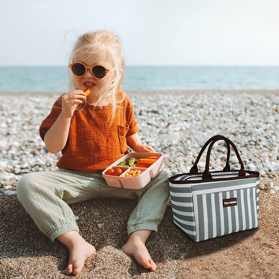 Lunchtas voor vrouwen en mannen, geïsoleerde lunchtas voor meisjes, lunchbox voor volwassenen en kinderen, grote koeling, lunchtas voor werk, school, picknick, grijs gestreept