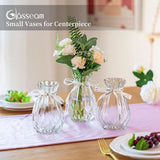 Glazen vazen voor bloemen met zijden touw, 3 stuks moderne hyacinten vazen, Bud Avocado vaas, edelwikkvaas voor hydrocultuur planten, narcissen en orchideeën voor op het bureau, de vensterbank of binnenshuis.