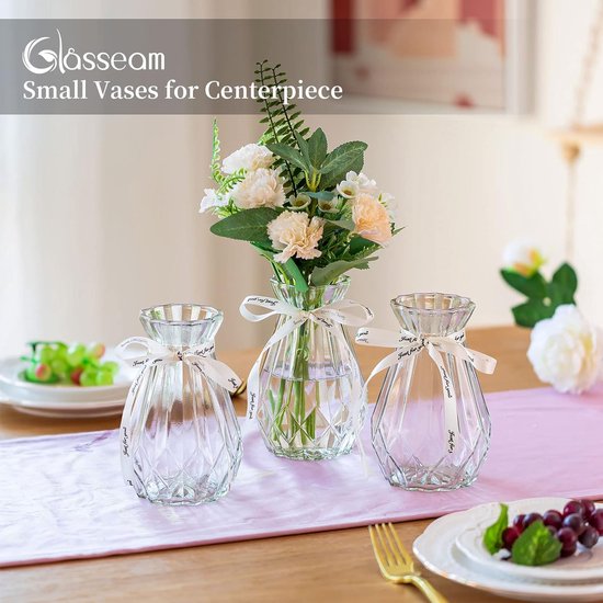 Glazen vazen voor bloemen met zijden touw, 3 stuks moderne hyacinten vazen, Bud Avocado vaas, edelwikkvaas voor hydrocultuur planten, narcissen en orchideeën voor op het bureau, de vensterbank of binnenshuis.