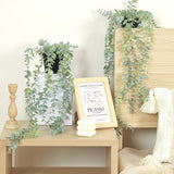Kunstmatige hangplanten Eucalyptus Muurkamer Thuis Patio Binnen Buiten 3 stuks Kunstmatige hangplanten Eucalyptus Muurkamer Thuis Patio Binnen Buiten 3 stuks