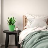 16 stuks 10 cm plantenpotten plantenpotten kweek bloempot kunststof klein met pallets kweekpotten kunststof potten planten rond voor zaden sappige bloemen voor thuis kantoor decoratie 8