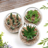 Kunstplant, vetplant, kamerplant, decoratieve woonkamer, badkamer, decoratieve vetplant, hoogte 8 cm, in glazen pot, set van 3