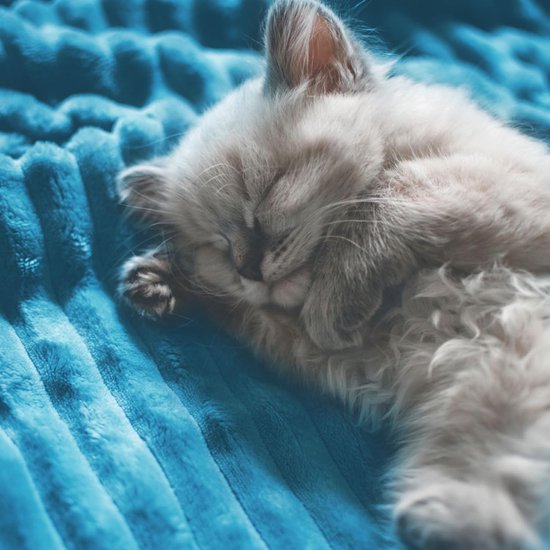 150 x 200 cm, warme pluizige beddensprei, deken en sofadeken, mama, vrouw en vriendin, blauw, 150 x 200 cm