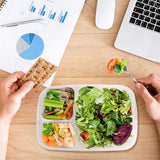 Bento Lunchbox Herbruikbaar 3 compartimenten (7 stuks) Doorzichtige dozen met dekselset - Magnetron-, vaatwasser- en vriezerbestendig - Stapelbare plastic lunchbox Volwassenen en kinderen