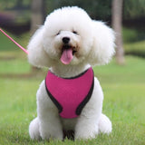 2 stuks verstelbaar kippenharnas, trainingsharnas en riem voor 7,5 - 8 kg eendengans, kippen, kleine huisdieren, roze-rood en blauw