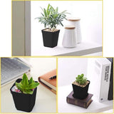 24 stuks vierkante bloempot, 7 cm plastic bloempotten, succulente plantenbakken met palet voor binnen- en buitendecoratie, plantenpot met schotel (zwart)