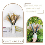 Natuurlijk pampasgras, decoratie, 65 stuks, doe-het-zelf droogbloemen voor pampasgras, gedroogd boeket, ideaal voor boho, woonkamer, slaapkamer en vazen, decoratie (73 stuks)