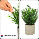 Belle Vous 4 Pak Artificiële Binnen Potplanten - Kleine Nep Plastic Eucalyptus, Slangen Tong Gras & Vetplanten - Faux Groen voor Kantoor, Bureau/Tafel, Slaapkamer, Keuken, Huisdecoratie