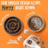 Slow Feeder voor honden, anti-schingbak, anti-schingbak voor honden, interactieve voerbak voor honden, langzame voeding, voor middelgroot/groot, grijs