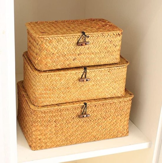 Opbergbox van zeegras, bastmand met deksel, opbergmanden plankmanden, rieten mand, wasmanden, make-up-organizer, keuken, woonkamer, bureau-opslag, natuurlijk materiaal, rotan mand