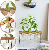 Hydrocultuur glazen vaas hangvaas bloemenvaas tafelvaas luchtplanten terrarium bureau decoratieve vaas met houten houder glazen plant voor kantoor huis tuin decoratie (3 vazen)