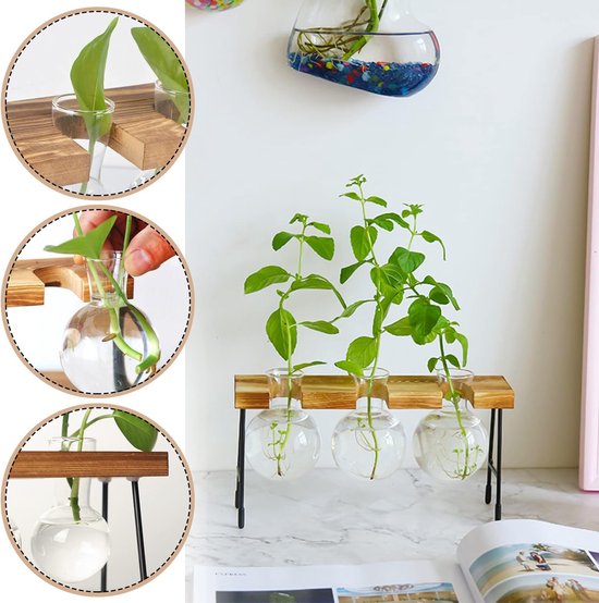 Hydrocultuur glazen vaas hangvaas bloemenvaas tafelvaas luchtplanten terrarium bureau decoratieve vaas met houten houder glazen plant voor kantoor huis tuin decoratie (3 vazen)