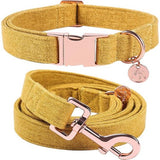 Hondenhalsbanden geel, hondenhalsbanden en lijn van geel, comfortabele verstelbare hondenhalsband voor kleine middelgrote honden