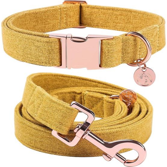 Hondenhalsbanden geel, hondenhalsbanden en lijn van geel, comfortabele verstelbare hondenhalsband voor kleine middelgrote honden