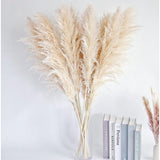 10 stuks Pampasgras Groot, Pampasgras XXL, Pampasgras Decoratie Groot voor Boho Decoratie Woonkamer Tafel Slaapkamer Bruiloft Badkamer (100 cm)