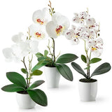 Kunstbloemen in potten (36cm) - set van 3 orchideeën kunstmatig op elkaar afgestemd arrangement in hoogglans keramische potten, decoratieve kunstbloemen, kunstorchideeën (wit arrangement)