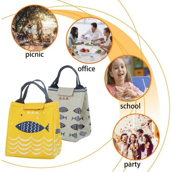 Lunchtas, 2 stuks, koeltas, picknicktas, lunchtas, mini-geïsoleerde tas, lunchtas, met waterdicht, opvouwbaar, voor werk, outdoor-activiteiten, schooluitstapjes, volwassenen, studenten en kinderen