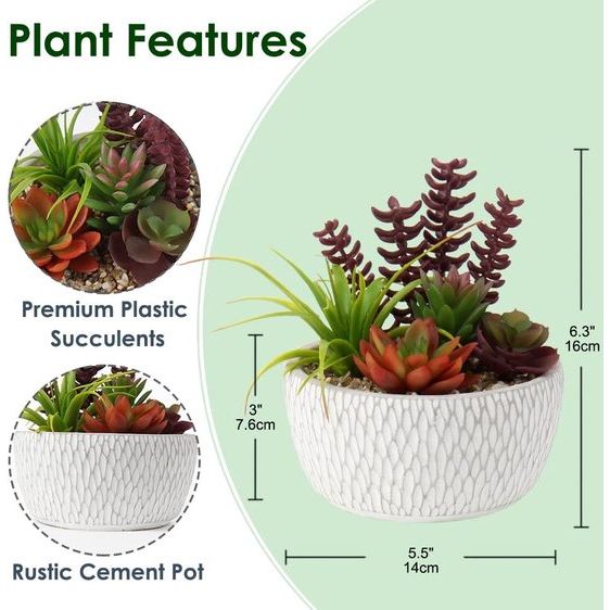 Kunstplant, vetplanten, kunstmatige kamerplant, vetplant, decoratieve tafeldecoratie, woonkamer, vetplant, in cementpot, voor badkamer, bureau, sideboard, hoogte 16 cm